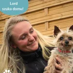 Pies do adopcji, Dąbrówka, 28 sierpnia 2025