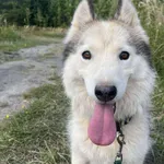 Luna - ur.ok. 12.2022r.