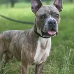 07.07.2025 - ul. Parkowa / 012500331