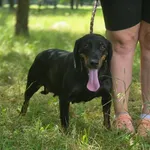 30.06.2025 - ul. Lubelska / 012500307