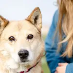 Oddam psa, Olsztyn, 6 września 2025