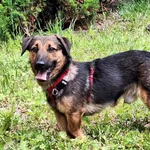 Kapsel - młody, niewielki, przyjazny, rodzinny 