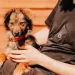 Hejka 616093903032126