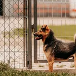 Plush 616093903032125