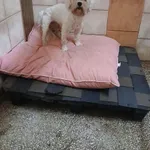 13201/167/25  - data przyjęcia - 17.09.2025