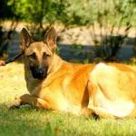 Becia - 26.02.2023r.