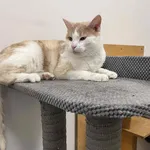 4751/143/25  SZAFRAN - data przyjęcia - 03.10.2025