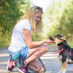 Pies do adopcji, Nowodwór, 1 października 2025