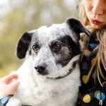 Oddam psa, Olsztyn, 19 października 2025