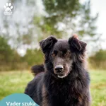 Vader