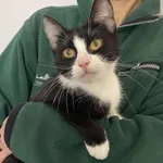 Suczka poz. 25/792/K