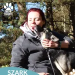 Szark