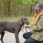 Pies do adopcji, Nowodwór, 26 października 2025