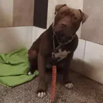 13223/189/25 Ares - data przyjęcia - 25.10.2025