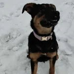 13227/193/25 Balbinka - data przyjęcia - 31.10.2025