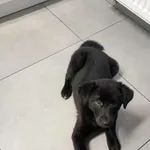 suczka DORA rezerwacja