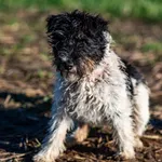 Galaktyka rezerwacja