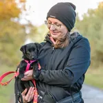 Pies do adopcji, Nowodwór, 13 listopada 2025