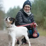 Pies do adopcji, Nowodwór, 13 listopada 2025