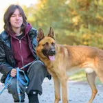 Pies do adopcji, Nowodwór, 13 listopada 2025