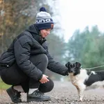 Pies do adopcji, Nowodwór, 13 listopada 2025