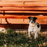 Croissant 616093903032158