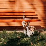 Stefan 616093903027076