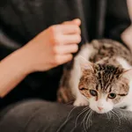 Kot do adopcji, Czartki, 21 listopada 2025