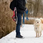 Falkor 506/2025 REZERWACJA