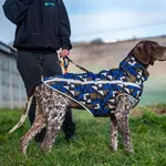 Znaleziono psa, Racławice, 1 grudnia 2025