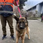 GW/248/23/25 - data przyjęcia - 8.12.2025