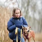 Pies do adopcji, Sosnowiec, 10 grudnia 2025