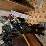 Zaginął pies, Łódź, 16 grudnia 2025