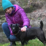 Znaleziono psa, Toruń, 29 listopada 2025