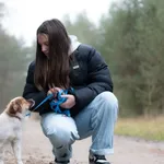 Pies do adopcji, Nowodwór, 27 grudnia 2025