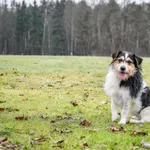 25.11.2025 r - Grota Roweckiego / 012500569