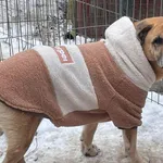 Oddam psa, Nowakowo, 12 stycznia 2026