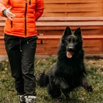 Fendir 616093903032148