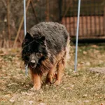 Yeti 616093903032156