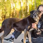 Pies do adopcji, Nowodwór, 13 stycznia 2026