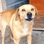 Junior ID: 6499