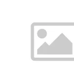 Pies do adopcji, Piła, 30 listopada 2025