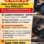 Zaginął pies, Pyrzyce, 19 stycznia 2026