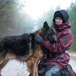 Pies do adopcji, Nowodwór, 18 stycznia 2026