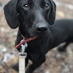 TOŚKA – mała iskra energii z wielkim sercem