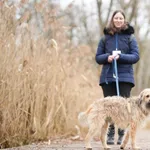 Znaleziono psa, Sosnowiec, 22 stycznia 2026