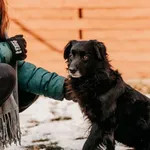 Porto 616093903133164