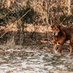 Mumin 616093903264568