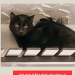 Batman 616093903032050