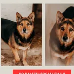 Lucyna 616093901200823